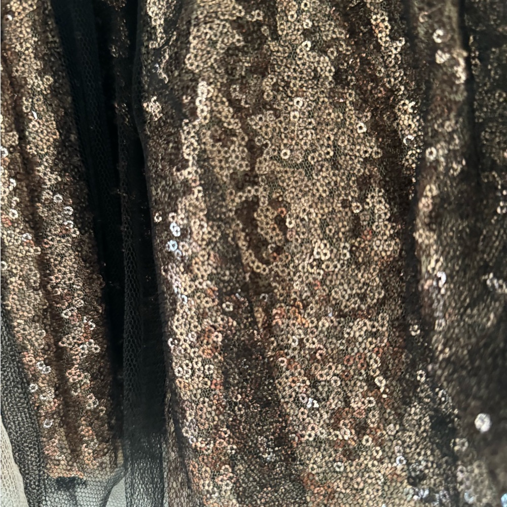 Anthropologie Greylin Tulle Gold Sequins Mini Skirt - Picture 3 of 11
